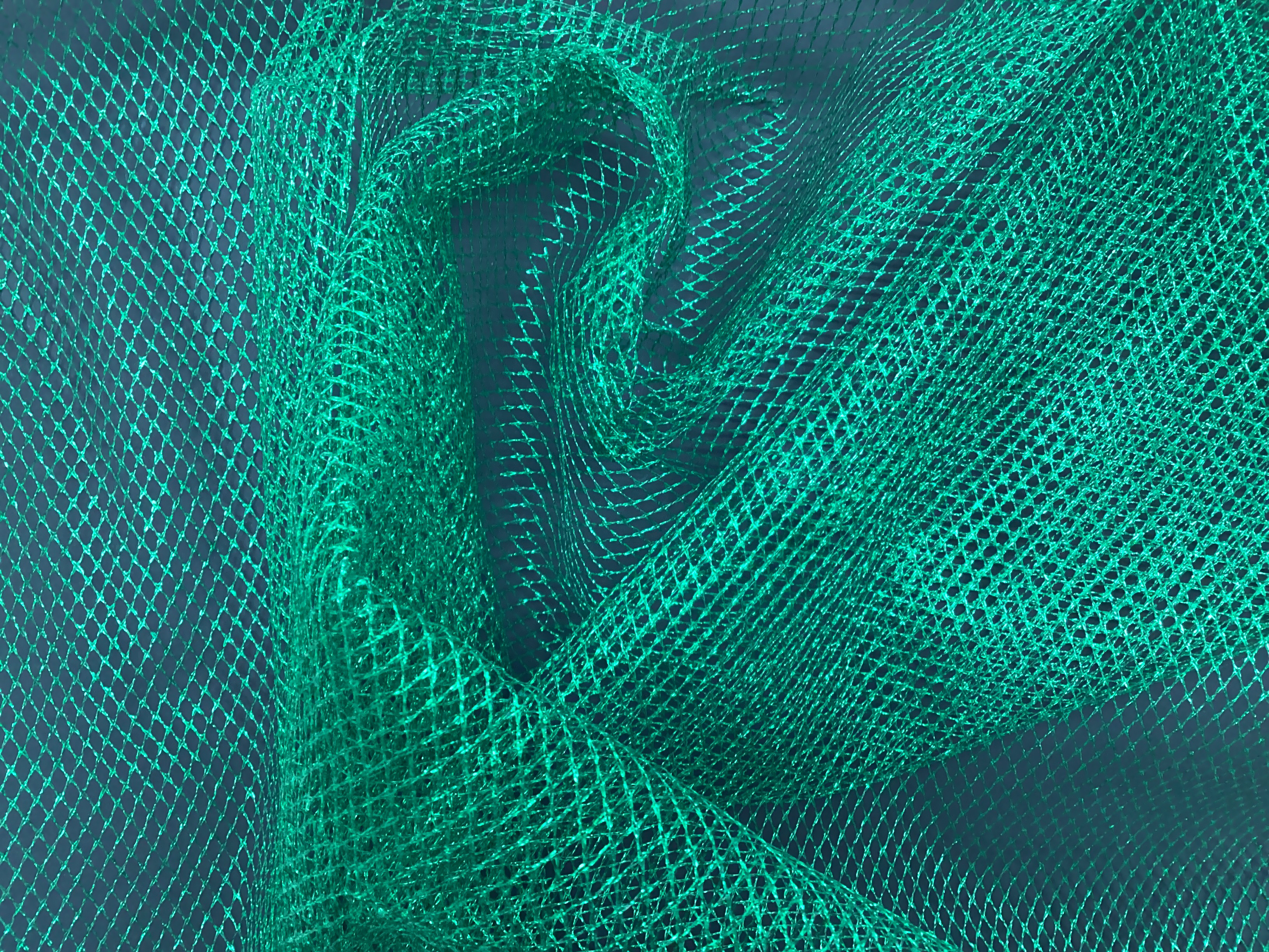 Netz glänzend grün