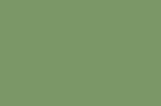 Ponge grasgrün
