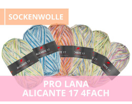 Pro Lana Alicante 17 4fach Wolle