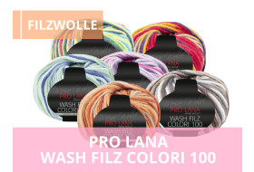 Pro Lana Wash Filz Colori 100 Wolle